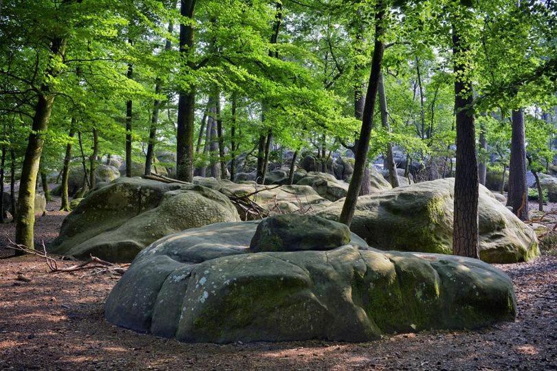 Maison De Charme En Foret De Fontainebleau Recloses Екстериор снимка